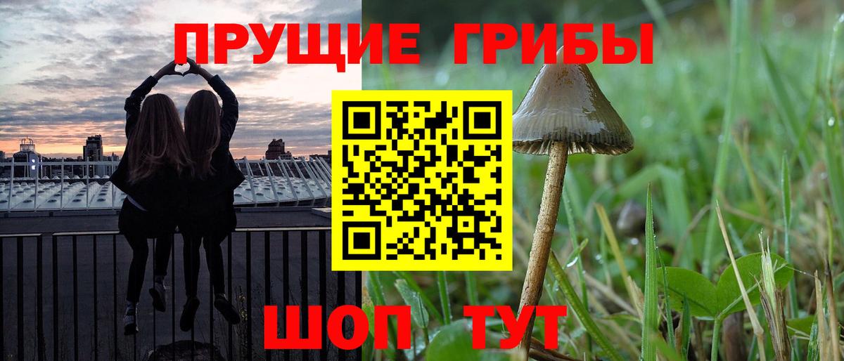 Кубинка  Галлюциногенные грибы GOLDEN TEACHER  Вход с VPN 