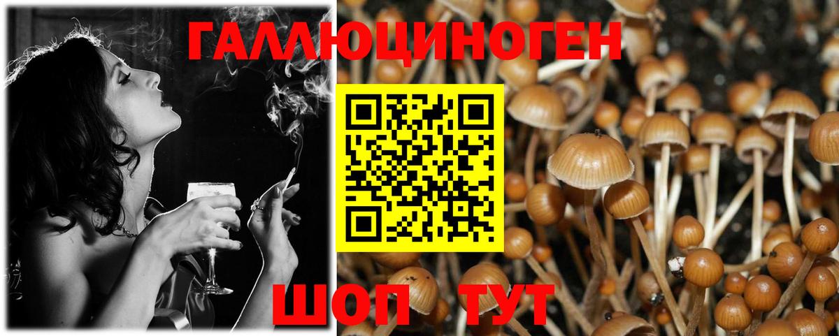 Псилоцибиновые грибы мухоморы Кубинка